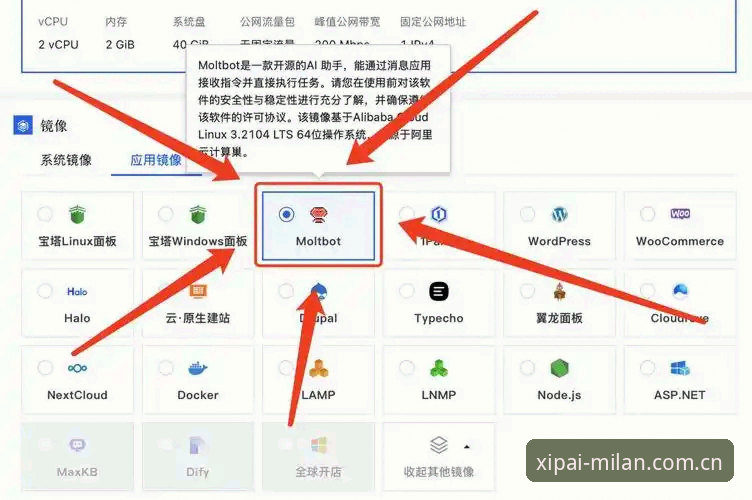 细节派中国官网入口 细节派APP与官网入口:一场“找不准”与“选对路”的对比
